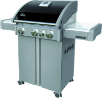 Gas Grill / Napoleon Triumph T410