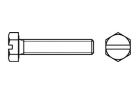 Sechskantschrauben mit Schlitz