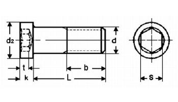 8.8 Acciaio zincato