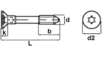 Lappenschrauben