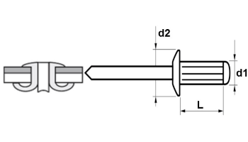 Tête bombée